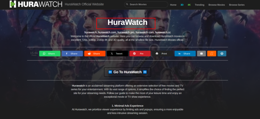 hurawatch pro

